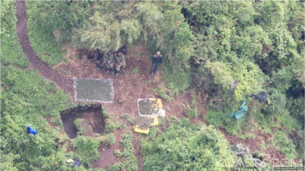 RDC: Perdus, deux soldats rwandais arrêtés près d'un aéroport à  Goma