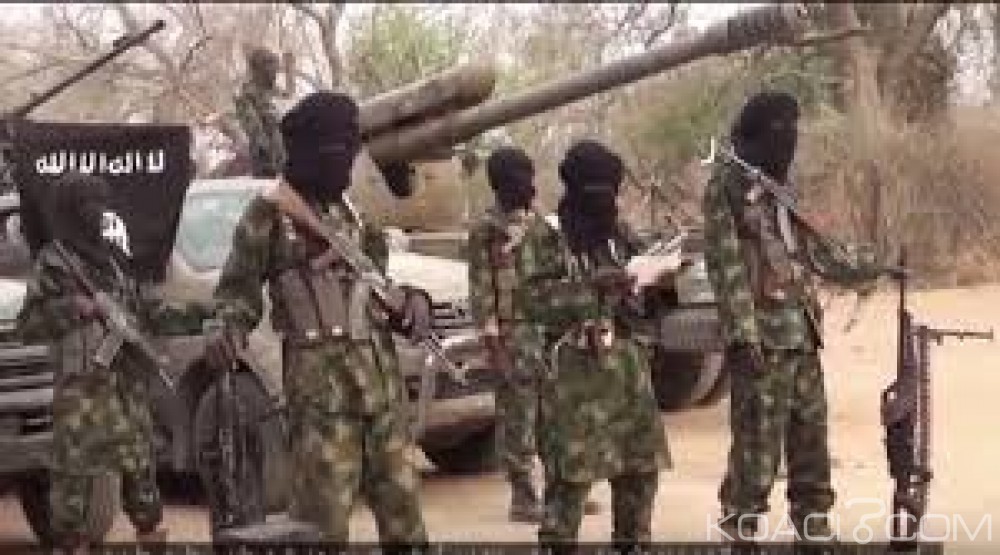 Nigeria:  Deux attaques de Boko Haram font 21 morts près de Ngala