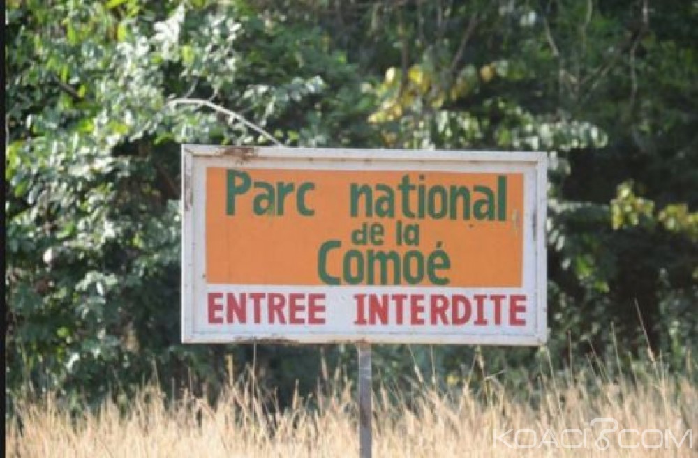 Côte d'Ivoire: Le parc national de la Comoé va célébrer ses 50 ans au service des populations