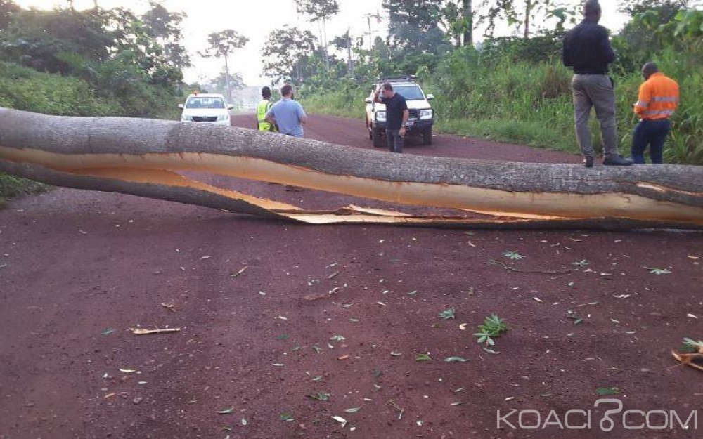 Côte d'Ivoire: Mine d'Agbaou, la communauté villageoise citée dans les manifestations de mécontentement du vendredi dernier