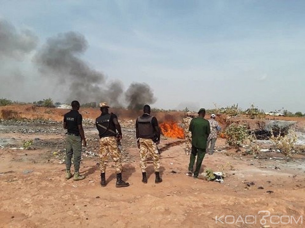 Burkina Faso : Plus de 1300 peaux d'à¢nes incinérées à  Ouagadougou
