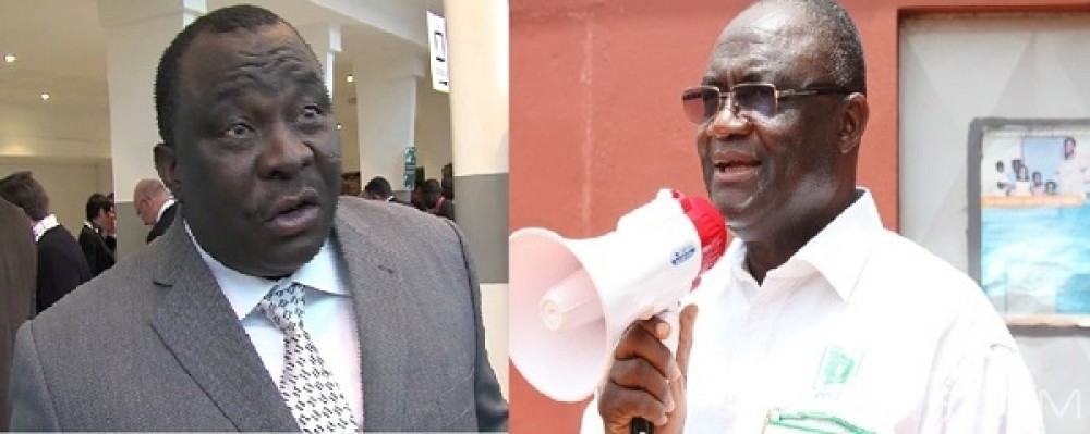 Côte d'Ivoire: Guéguerre au PDCI, Adjoumani allume Guikahué, «Il apparait comme le plus grand diviseur commun»