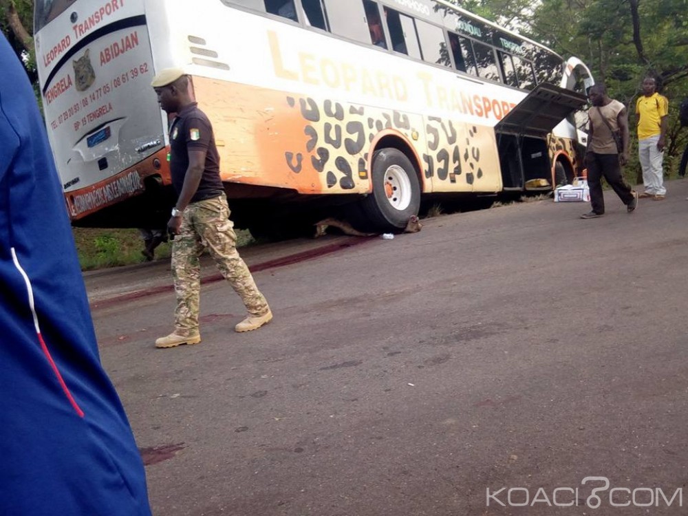Côte d'Ivoire: Boundiali, un car de transport écrase une vingtaine de bœufs