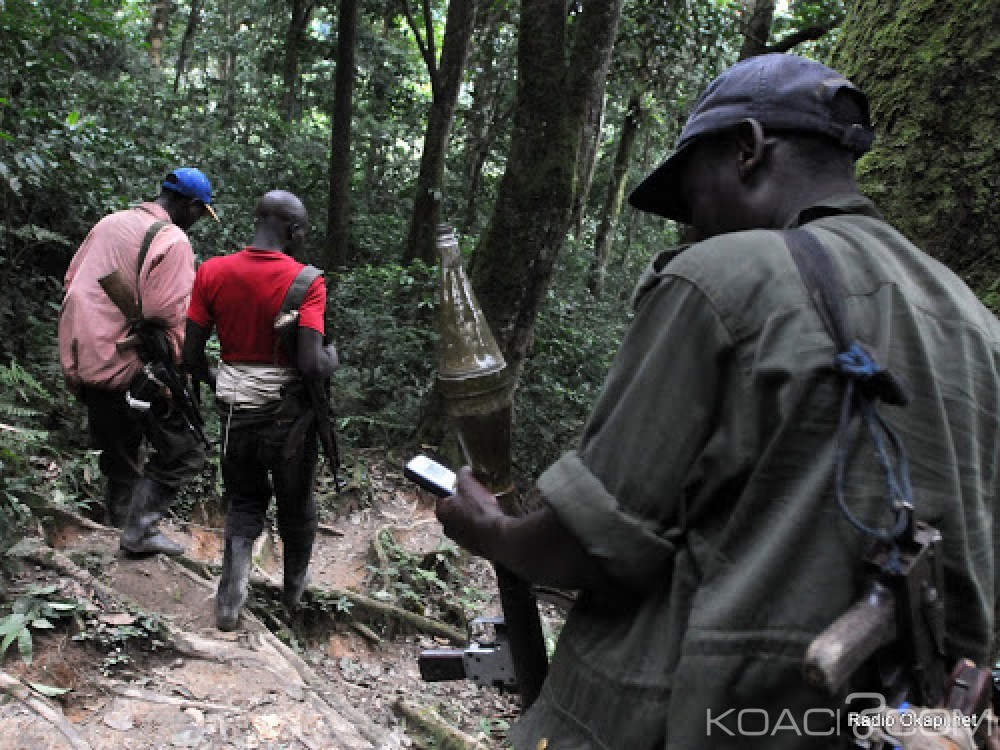 RDC: Trois morts dont deux soldats dans une attaque de Maï-Maï dans le parc des Virunga