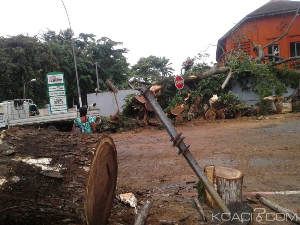 Côte d'Ivoire: Foncier rural, le Gouvernement sécurise davantage les terres rurales et modernise leur gestion