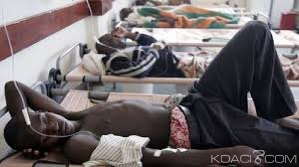 Nigeria: Le choléra fait 12 morts en quatre jours dans le nord-est