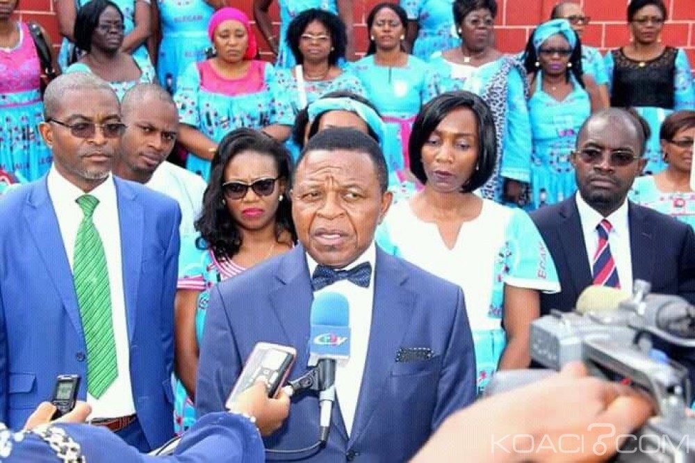 Cameroun: Un nouveau DG à  Elecam