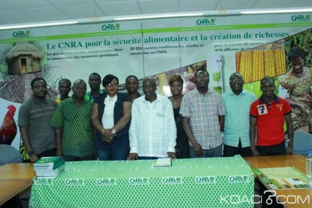 Côte d'Ivoire: Le Gouvernement annonce la transformation du CNRA en société d'Etat ou en société à  participation financière publique majoritaire