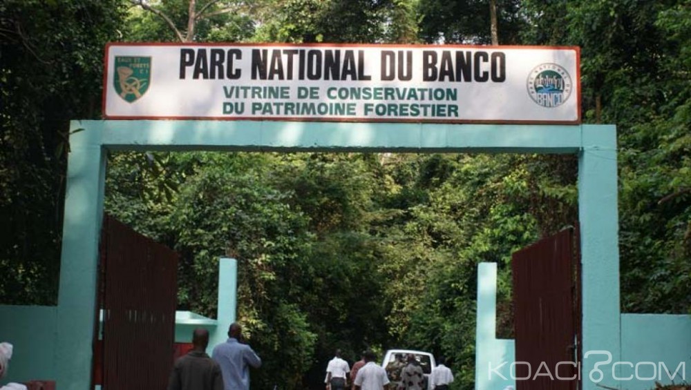Côte d'Ivoire: Politique forestière, le Gouvernement encourage à  la création de réserves naturelles volontaires