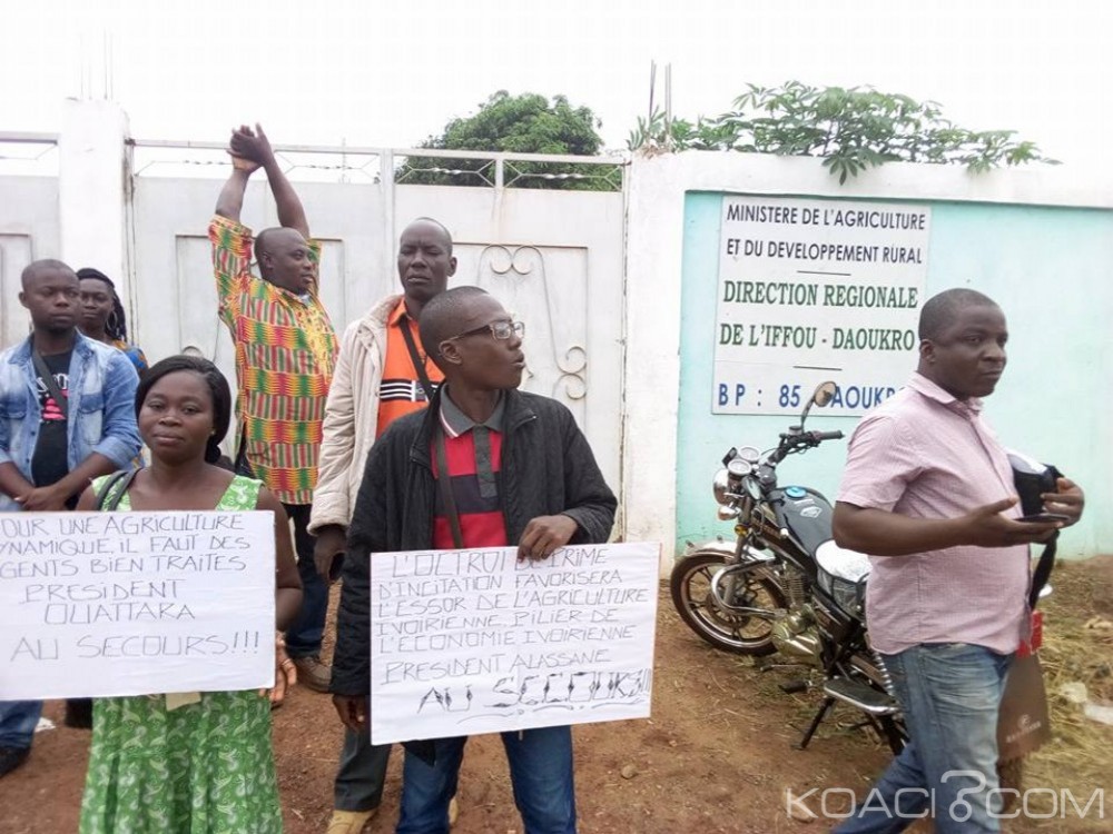 Côte d'Ivoire: Daoukro, manifestation ce matin des agents du ministère de l'Agriculture