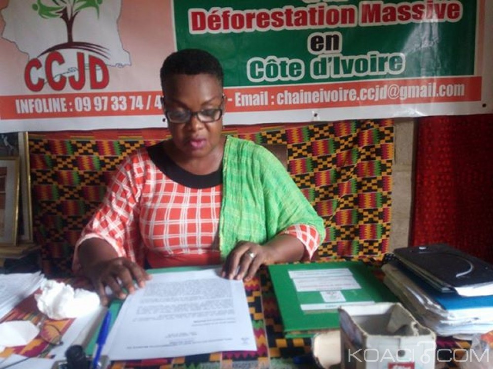 Cote d'Ivoire:  Le parti écologiste accuse le Gouvernement de violation de plusieurs conventions internationales et exige une transition politique