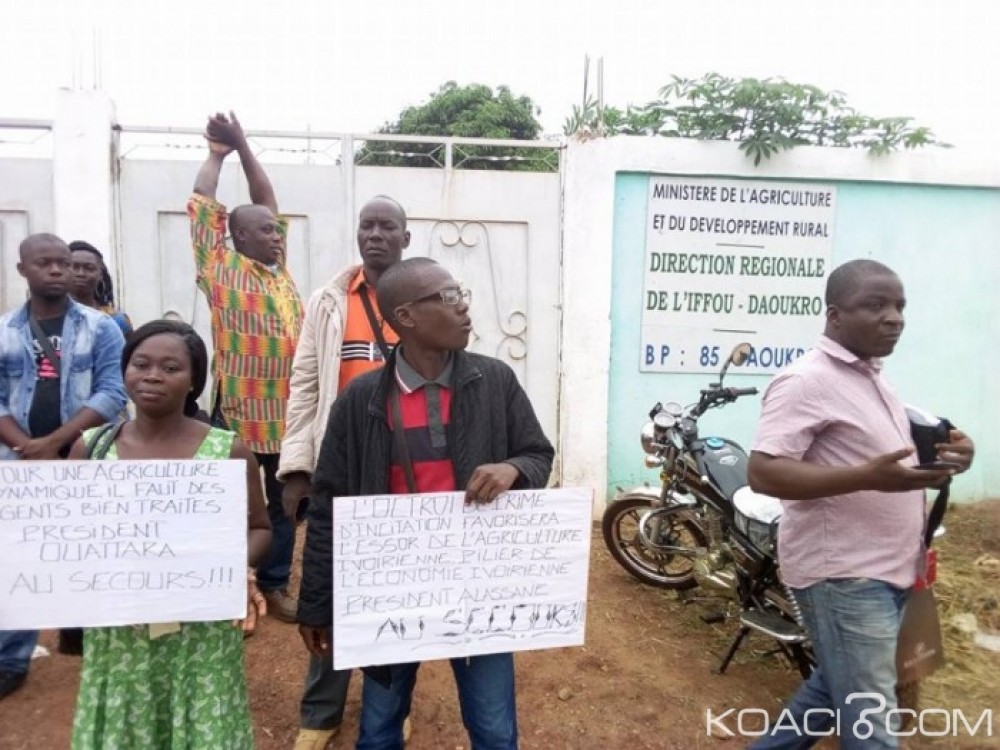 Côte d'Ivoire: Le Synataci reconduit sa grève au ministère de l'Agriculture et annonce des manifestations à  Abidjan