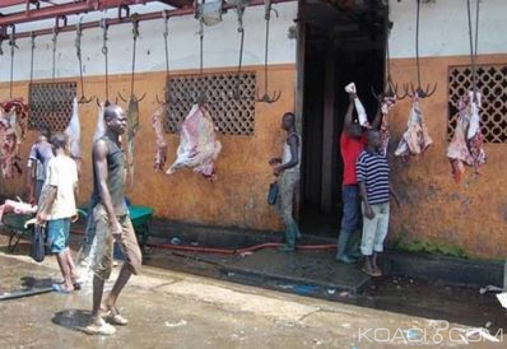 Côte d'Ivoire: Entrée en grève des fonctionnaires et agents du ministère des ressources animales et halieutiques, absence de vétérinaires dans les abattoirs du pays