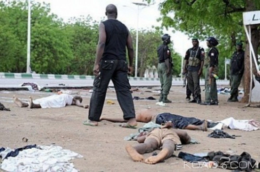 Nigeria: 23 Boko Haram  tués par  les forces armées sur le Lac Tchad