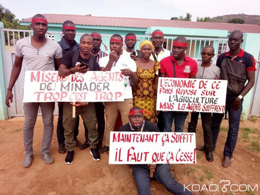 Côte d'Ivoire: Grève des Techniciens en Agronomie, mise en garde des ministères de l'agriculture et de la Fonction Publique