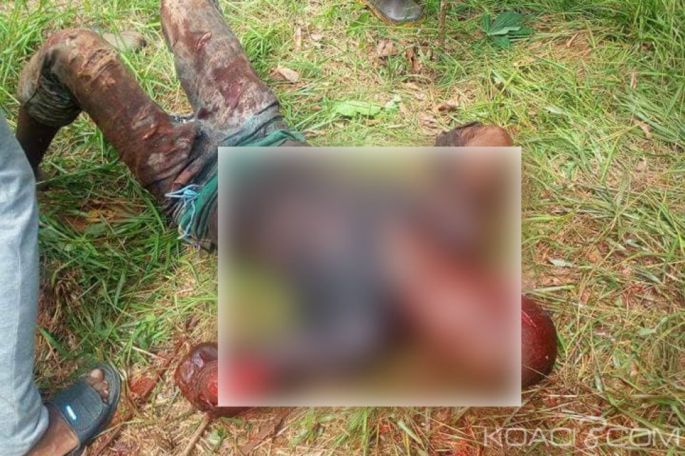 Côte d'Ivoire: Surpris en train de voler dans le champ d'un jeune wobé, un burkinabè le taillade et le tue à  la machette, la jeunesse autochtone veut réagir