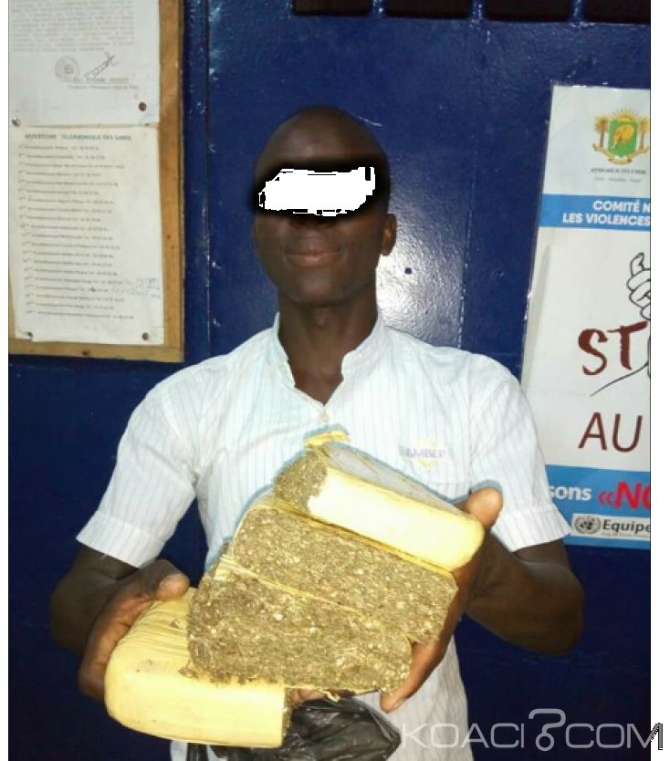 Côte d'Ivoire: Un employé de la Maca passeur de drogues mis aux arrêts