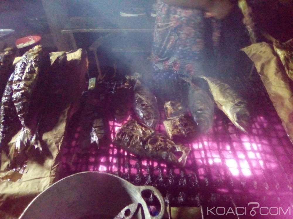 Cameroun: Un site de la CAN subit des coupures intempestives d'électricité qui perturbent l'activité des riverains