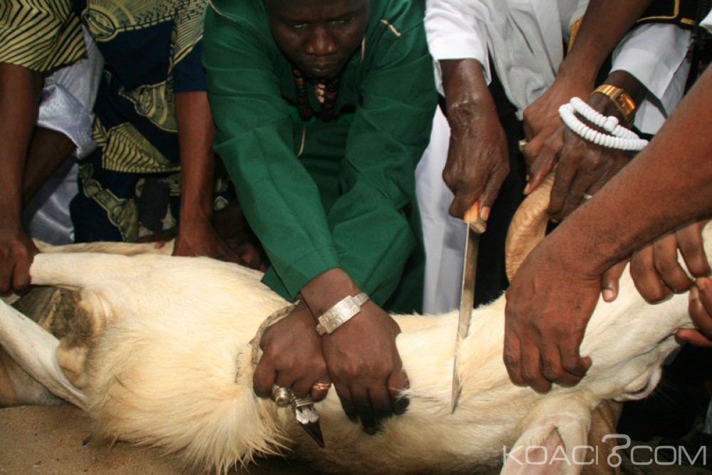 Côte d'Ivoire: Les musulmans vont célébrer la fête de la Tabaski le 21 août prochain