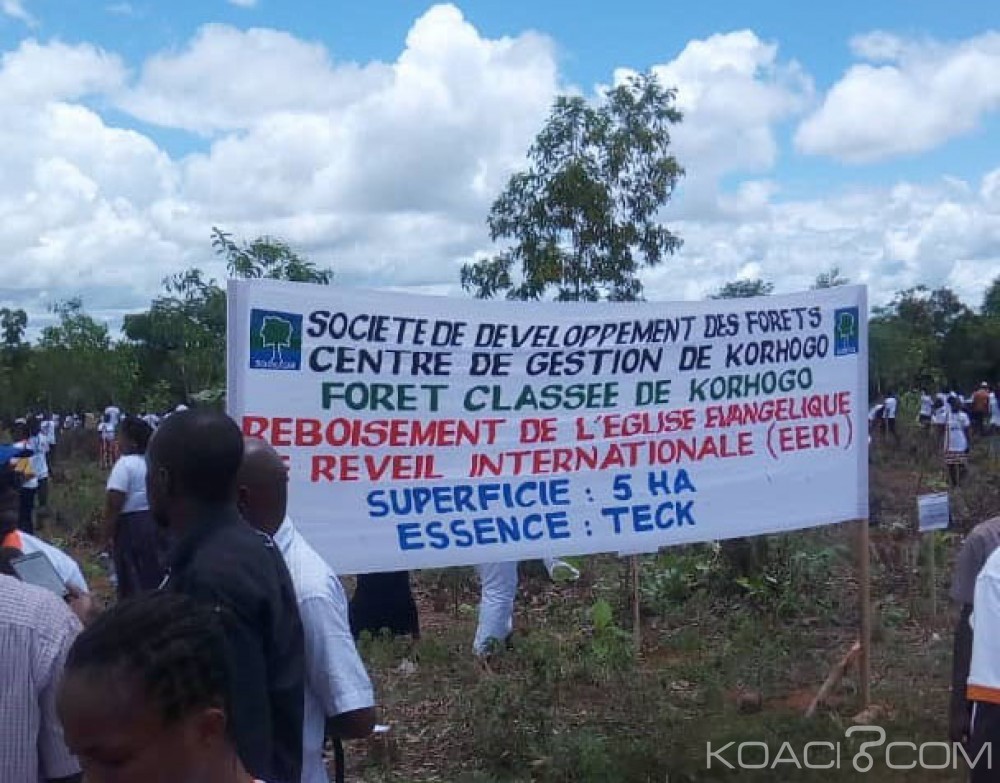 Côte d'Ivoire: Korhogo, 5 ha reboisés dans la forêt classée par des centaines de jeunes d'une église