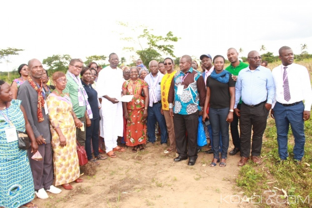 Côte d'Ivoire: La FAO et la CCI-CI organisent un symposium du manioc pour une optimisation de sa culture
