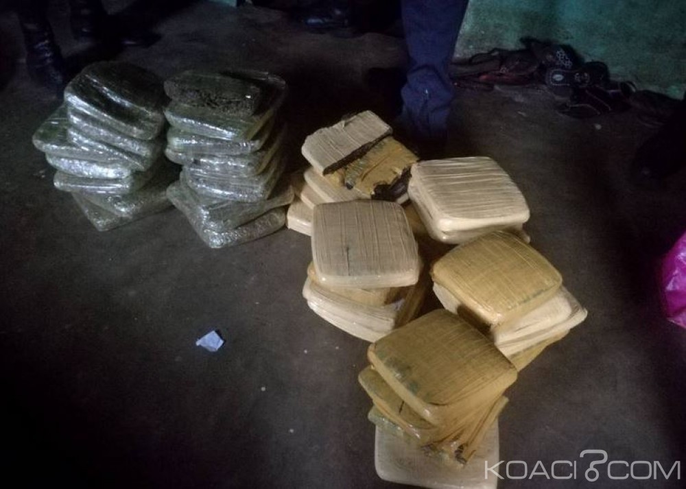 Côte d'Ivoire: Les stups débarquent à  Niangon Adjamé, saisie de drogue et 7 individus interpellés