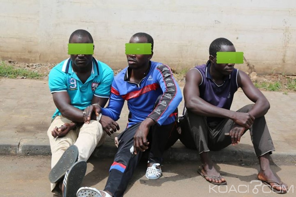 Côte d'Ivoire :  Fraude, 170 tonnes de sucre en transit pour le Mali, saisies pendant que des individus tentaient de déverser cette quantité sur le marché ivoirien