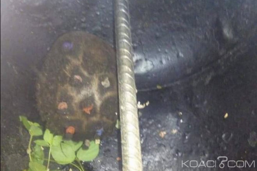 Côte d'Ivoire: Horreur à  Man, la tête d'une fillette retrouvée dans un four à  grillade d'arachides