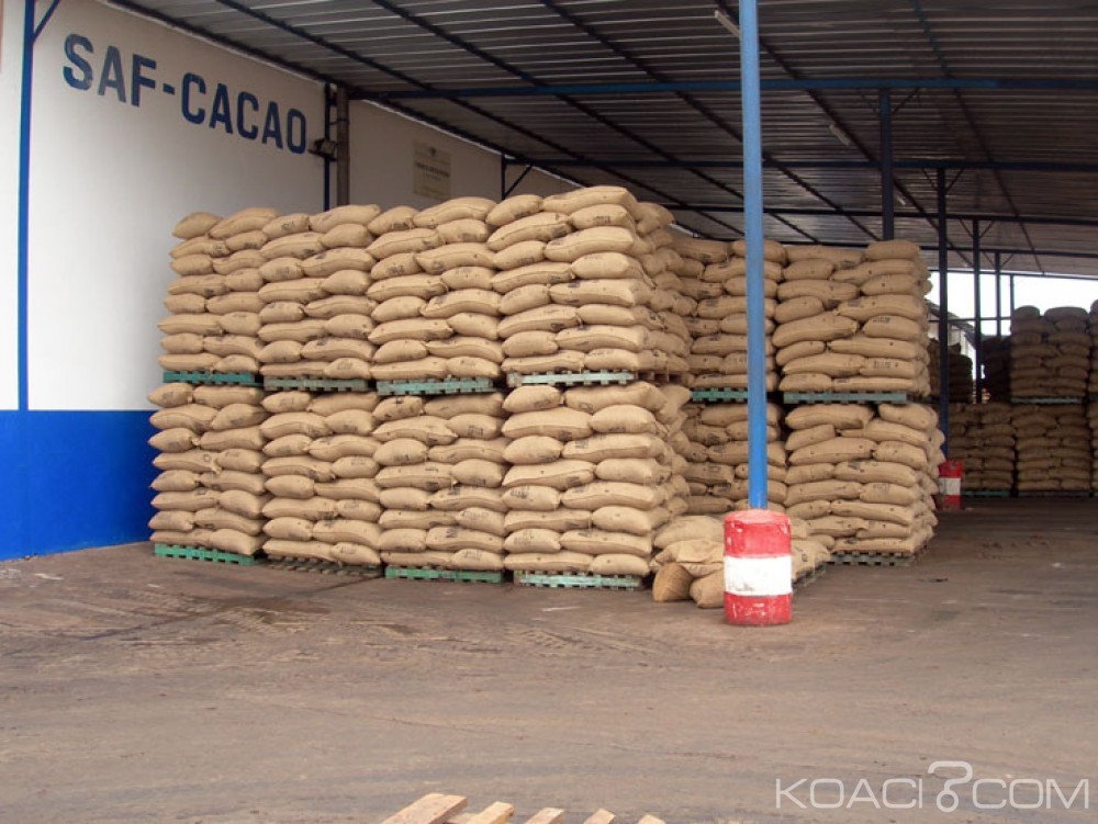 Côte d'Ivoire : «Affaire SAF-Cacao», Amadou Gon promettrait  une solution avant la prochaine campagne
