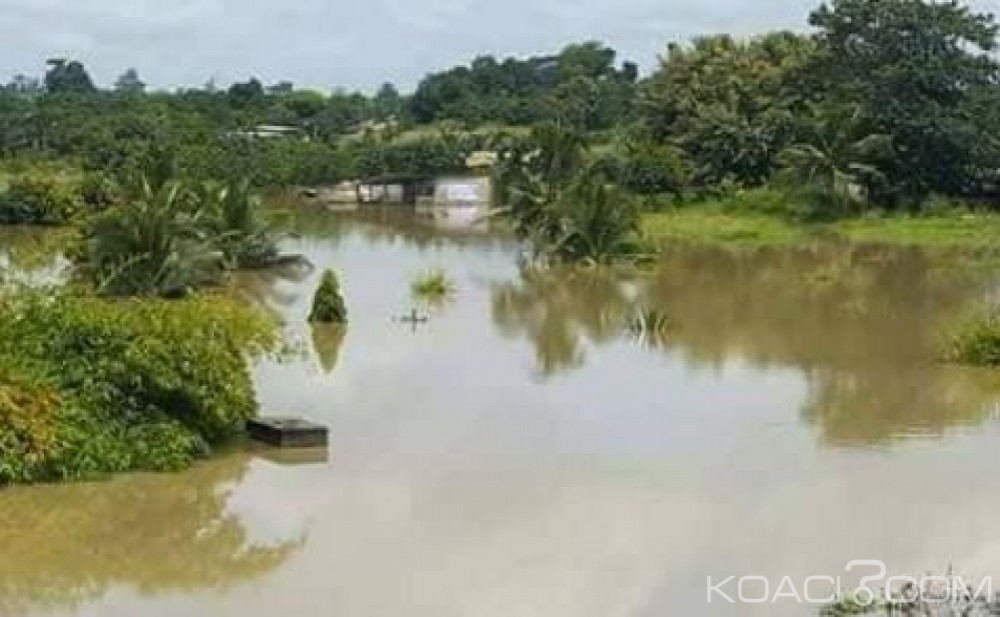 Côte d'Ivoire : La montée du fleuve Bandama fait un mort à  Bouaflé