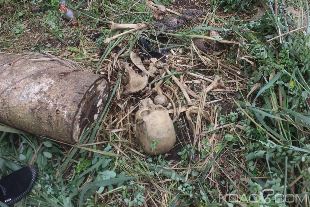 Côte d'Ivoire: Des ossements humains découverts à  Yopougon