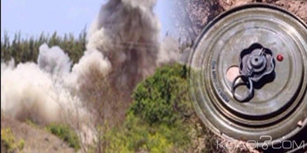 Tunisie : Deux frères tués dans l'explosion d'une mine au Mont Chaambi