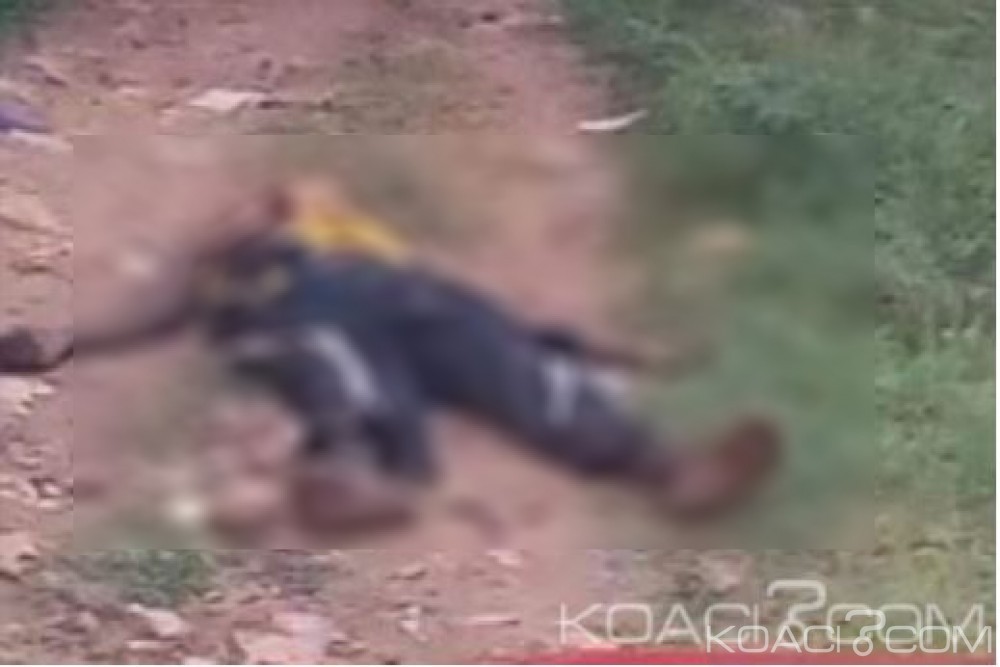 Côte d'Ivoire : Des abeilles  sèment  la panique au centre du pays, un mort et des blessés