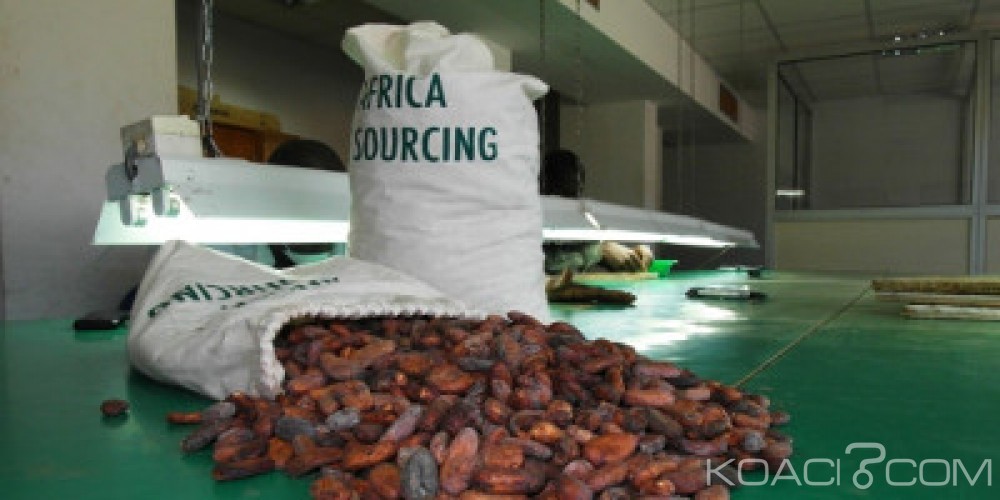 Côte d'Ivoire : Africa Sourcing dément vouloir racheter Saf Cacao en liquidation