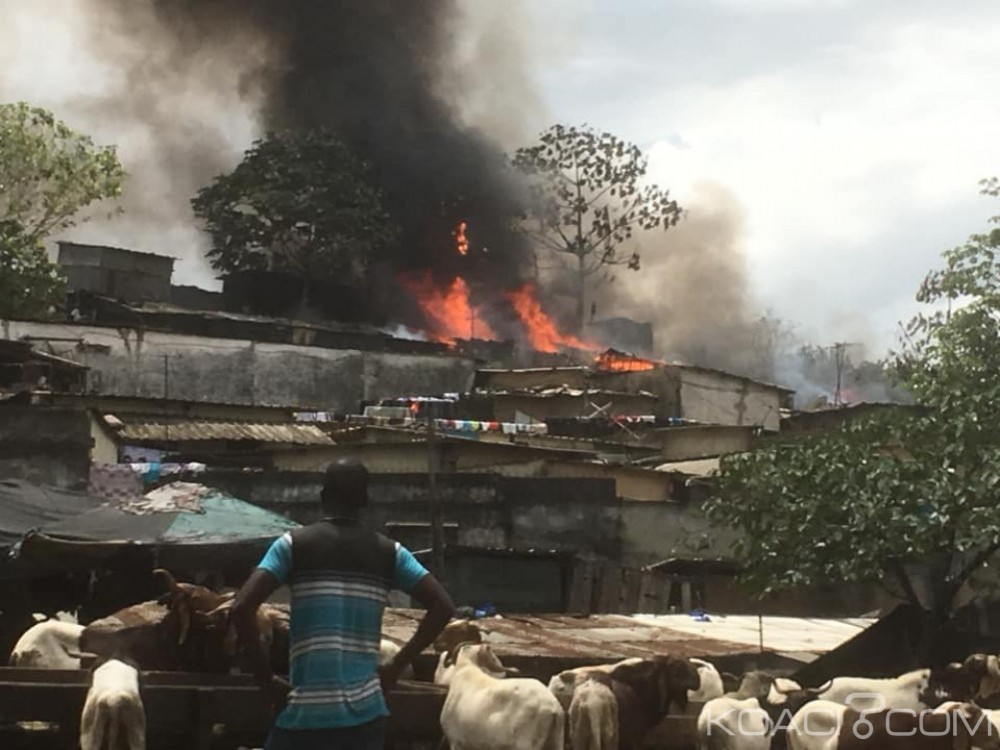 Côte d'Ivoire : Un incendie ravage plusieurs baraques dans la commune d'Adjamé