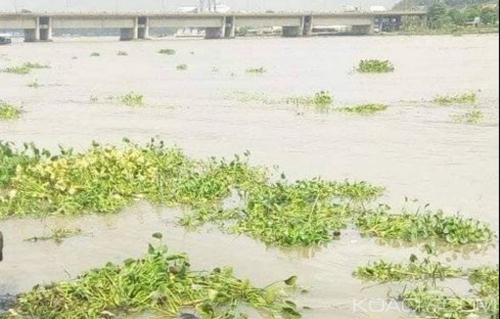 Côte d'Ivoire : Drame au Plateau, un corps sans vie retrouvé à  la gare lagunaire