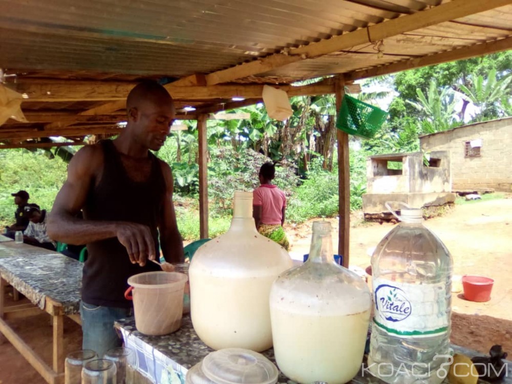 Cameroun :  Vente du vin de palme, un business en plein essor