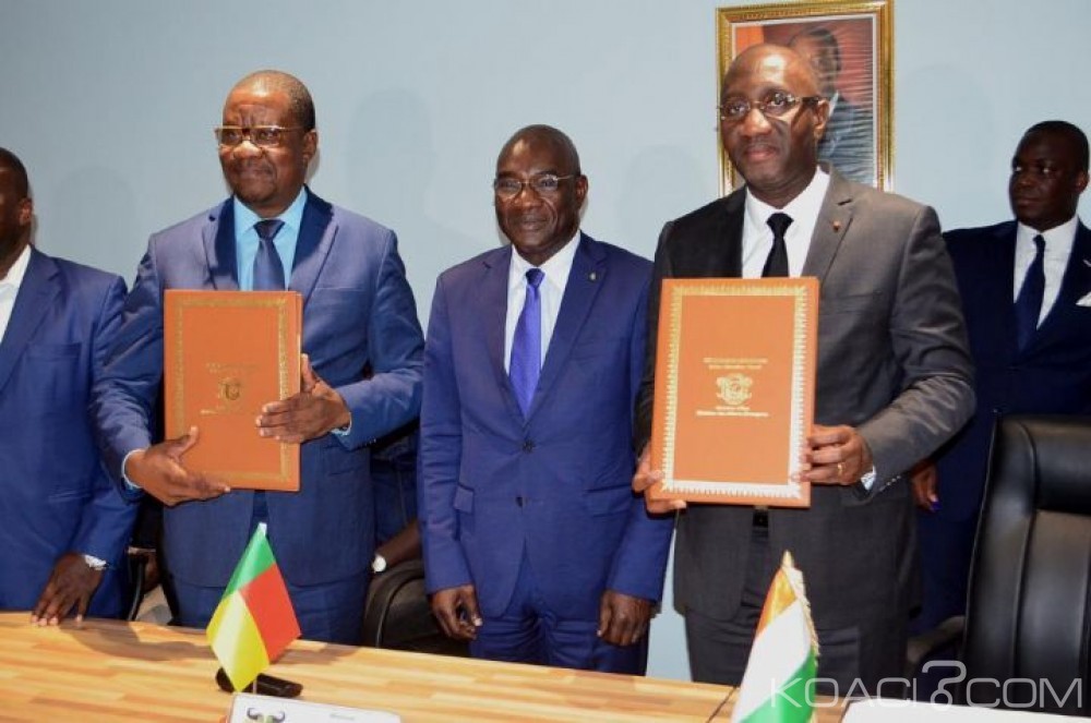 Côte d'Ivoire : Le pays abritera le siège du Conseil International du Cajou