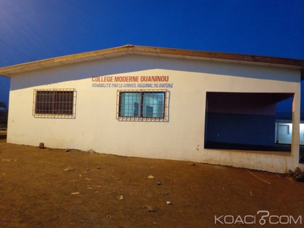 Côte d'Ivoire : Quand des abeilles font suspendre les cours dans un collège à  Ouaninou (Bafing)