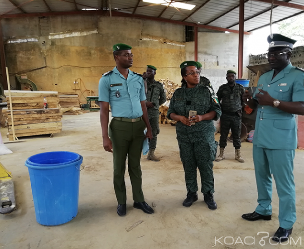 Côte d'Ivoire : Importante saisie de bois illégaux dans une menuiserie industrielle à  Marcory