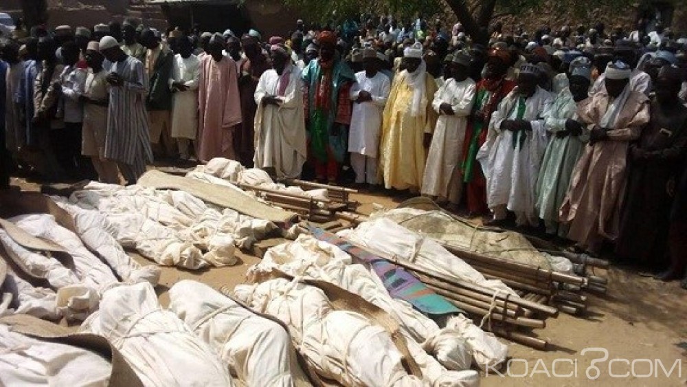 Nigeria : Plus de 25 personnes tuées par des voleurs de bétail dans le nord