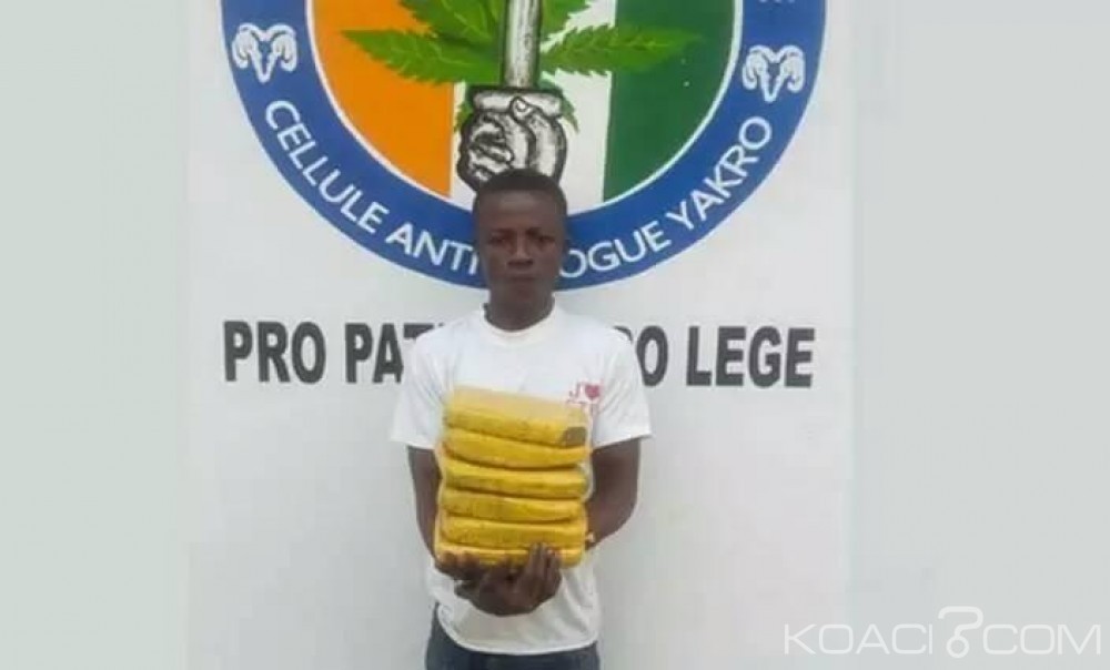 Côte d'Ivoire : Croyant avoir bien caché son colis, un convoyeur attrapé avec une grande quantité de drogue