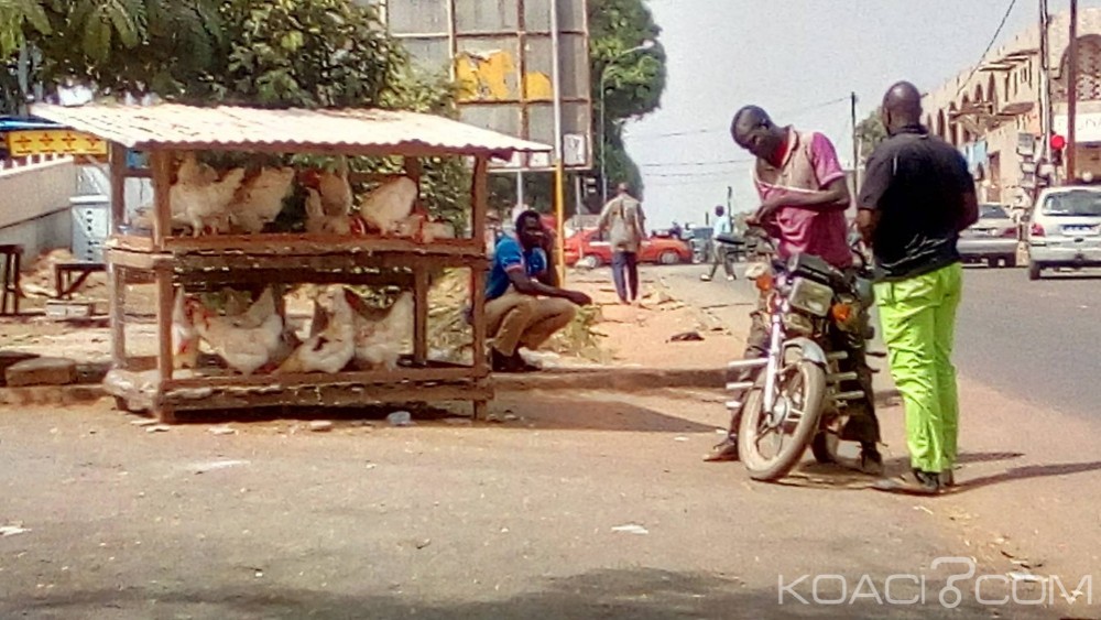 Côte d'Ivoire : À quelques heures du nouvel an, les vendeurs de poulets de bord de route en attente de clients