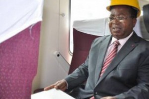 Cameroun : Création sous peu d'une usine de transformation locale du fer