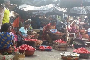 Côte d'Ivoire:  Adjamé, un conflit foncier menace l'approvisionnement des marchés en vivriers dans les prochains jours