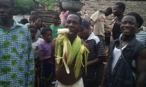 Vidéo Côte d'Ivoire : Le  voleur de maïs forcé  à  manger la céréale fraîche  à  Guiglo