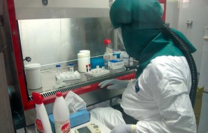 Sénégal: Ouf de soulagement, les tests effectués sur le Guinéen pour Ebola à  Ziguinchor sont négatifs