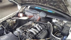 Maroc : Un guinéen se cache dans le moteur d'un véhicule pour immigrer en Espagne