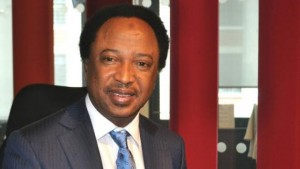 Nigeria : Inspiré par le Président Buhari, un sénateur publie son patrimoine