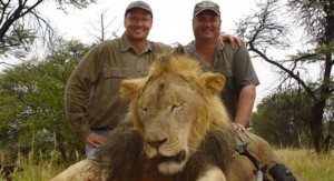 Zimbabwe : Le dentiste américain après la mort du lion Cecil : « Ma femme et ma fille ont été menacées sur les réseaux sociaux »